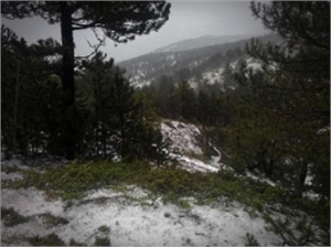 Tosya`da Tarım Projesi Çalışmaları