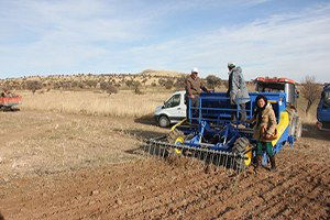 Anıza Tohum Ekimi Yapıldı