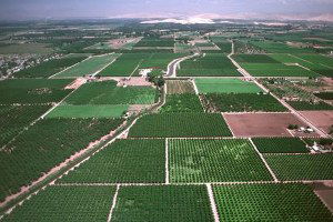 Arazi Toplulaştırması Kararı
