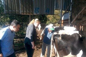 Aydın`da Hayvanlardaki Çiçek Hastalığı Yerinde İncelendi