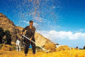 Bakliyat Alarm Veriyor