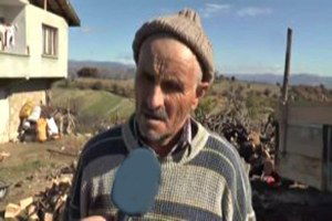 Bolu`da Kurtlar 20 Koyunu Telef Etti