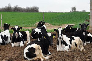 Çiftçilere `Hayvansal Ve Bitkisel Atık` Eğitimi