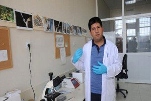 Donmuş Arı Spermleriyle Döllemede Yüzde 70 Başarı