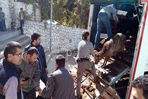 Ermenek`te Madencilere Üç Bin Koyun ve Keçi Dağıtıldı