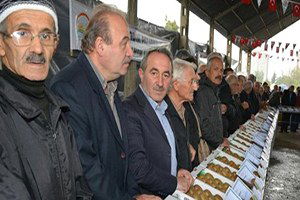 Fındık Üreticisi Kiviyi Sevdi