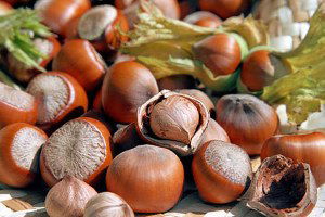 Fındık Fiyatları 14 Lirayı Aştı