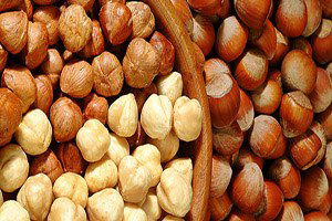 Fındık İhracatında Artış