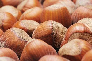 Türkiye`de Fındık İhracatı