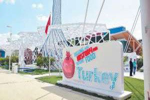 Fırsat Var, Kayısı Yok!