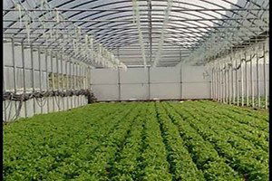 Gölova`da Seracılık Projesi