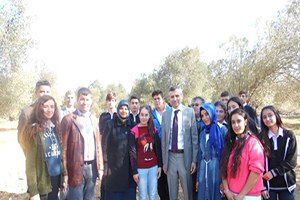 Gömeç`te Öğrenciler Zeytin Hasadı Yaptı