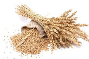 Randevulu Alım Sistemi Çok Başarılı  Oldu