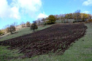 Keklikler İçin Özel Besin Tarlası