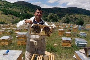 Kelkit`ten Tüm Türkiye`ye Organik Bal
