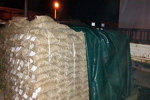 Aydın`da İlk Kestane İhracatı Başladı