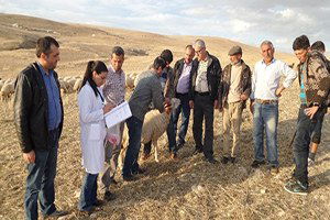 Küpeleme Çalışmaları Arapgir`den Başladı