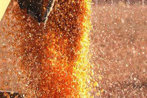 Mısır Üreticisinin Yüzünü Güldürdü