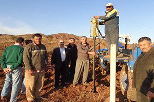 Modern Telli Terbiye Sistemiyle Organik Bağ Tesisi Kuruldu