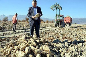 Son 10 Yılın Rekoru Kırıldı! Çiftçinin Yüzü Güldü