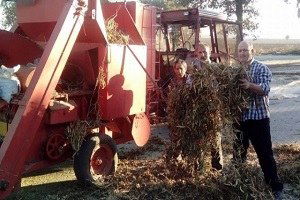 Sulu Tarım Üreticilerin Yüzünü Güldürdü