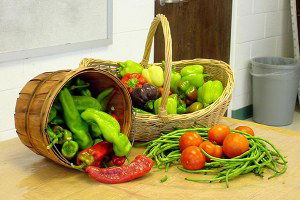 Türk Tarım Ürünleri Sevkiyatında Kontroller Artıyor