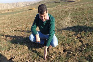 Tarla Faresi ile Mücadelenin Püf Noktası: Toplu Mücadele