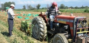 Ödemiş`te Tarımsal Yapının Röntgeni Çekiliyor