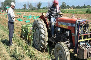 TÜİK, Ödemiş`te Tarımsal Yapının Röntgenini Çekiyor
