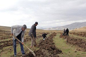 Van`da `Çekirdekten Badem Yetiştiriciliği` Projesi Başladı