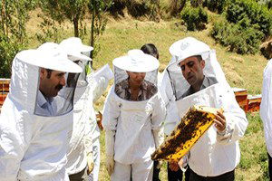 Van`daki Çiftçilerin Yüzü `Organik Bal Arıcılığı` Projesiyle Güldü
