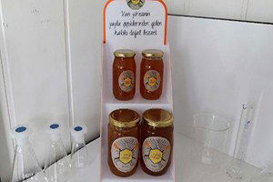 Van`da 20 Kadın Kooperatif Kurup Arıcılık Yapıyor