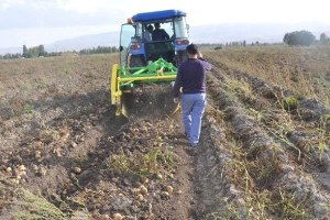 11 Aralık Uluslararası Dağ Tarımı Günü
