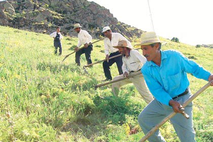 Tarım Reformu Paketi 2016`ya Kaldı