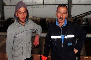 3 Bin Liraya Çalıştıracak Çoban Bulamadı Gürcistan`dan Getirdi