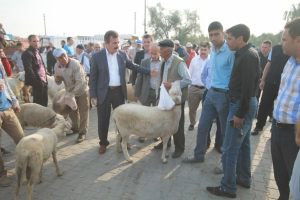 Şap Tehlikesi! Hayvan Pazarı Kapatıldı!