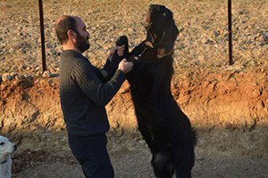 Batman`da İlk Defa Halep Keçisi Yetiştiriciliği