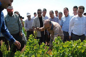 Adıyaman`da Tarımsal Projelere Püyük Destek