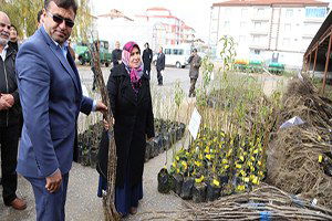 Aksaray`da Çiftçilere 7 Bin 80 Adet Meyve Fidanı Dağıtıldı