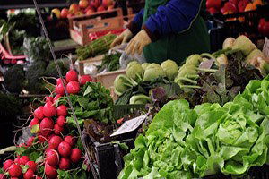 Alman Çiftçiler, Rusya`nın Yaptırımları Yüzünden İflasın Eşiğinde