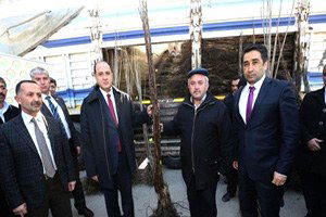 Amasya`da Köylülere Ceviz ve Kiraz Fidanı Dağıtıldı