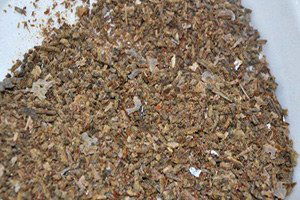 Arılardan Kilosu 300 Liralık Antioksidan