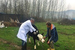 Bartın`da `Nepal Şapı` Karantinası