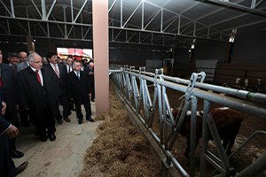 200 Başlık Besi Sığırcılığı Tesisi Törenle Açıldı