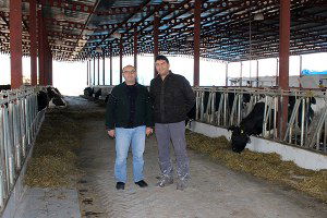 Besicilere `Şap` Uyarısı