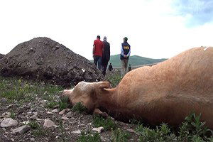 Havza Ziraat Odasınan Besicileri Uyardı