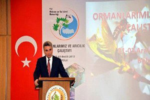 Bolu`da, `Ormanlarımız ve Arıcılık Çalıştayı`