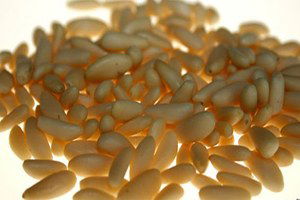 Tkdk`den Çam Fıstığı Tesisine Destek