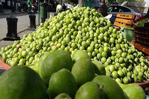 Ege`deki Yokluk Gaziantep`e Yaradı