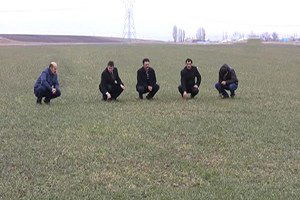 Erzurum`da Soğuk ve Kuraklığa Dayanıklı Rus Buğdayı Deneniyor